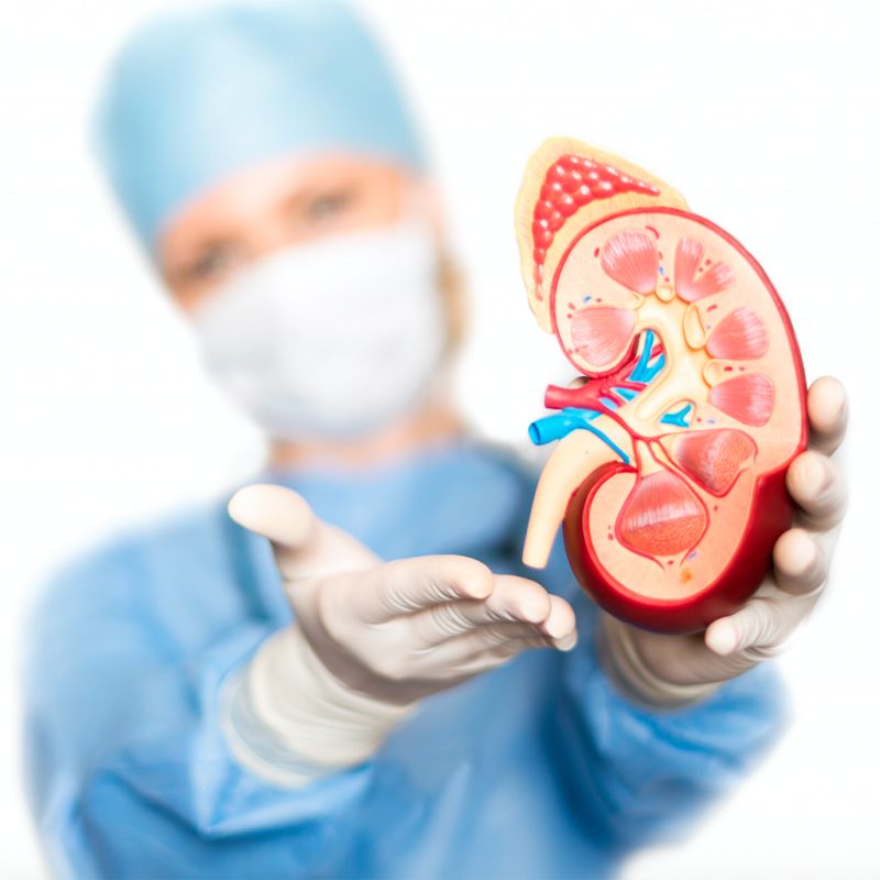 Kidney Transplant Surgery
