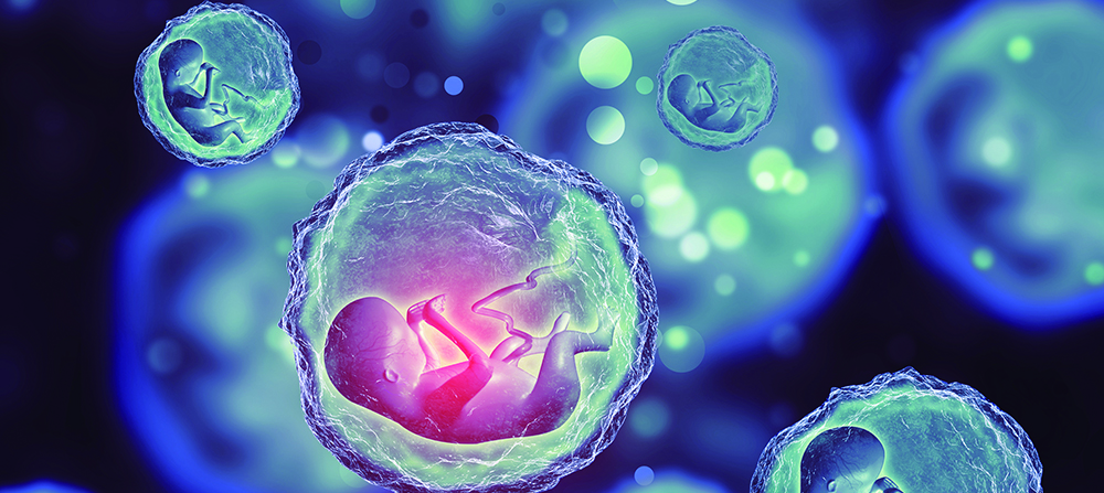 Reproductive Medicine