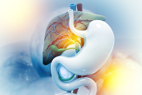 Gall Bladder & Bile Duct Disorders