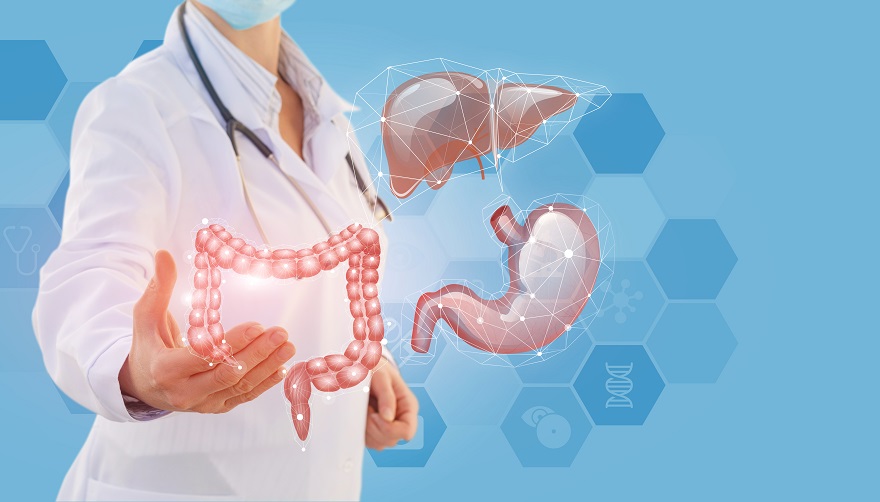 Endoscopy & Colonoscopy