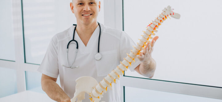 Vertebrae physiotherapist holding artificial spine Vertebrae physiotherapist holding artificial spine